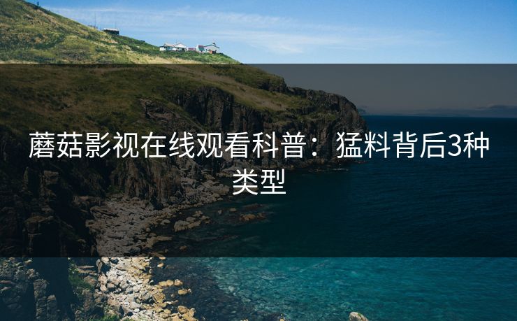 蘑菇影视在线观看科普：猛料背后3种类型
