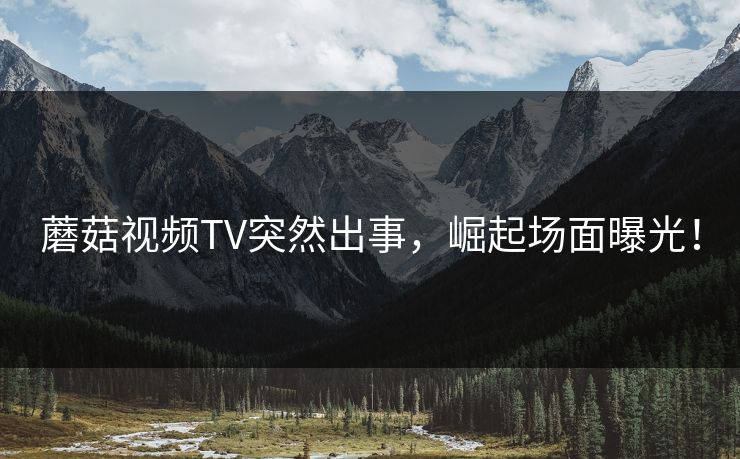 蘑菇视频TV突然出事，崛起场面曝光！