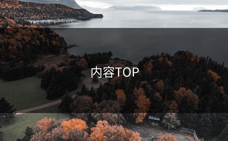 内容TOP