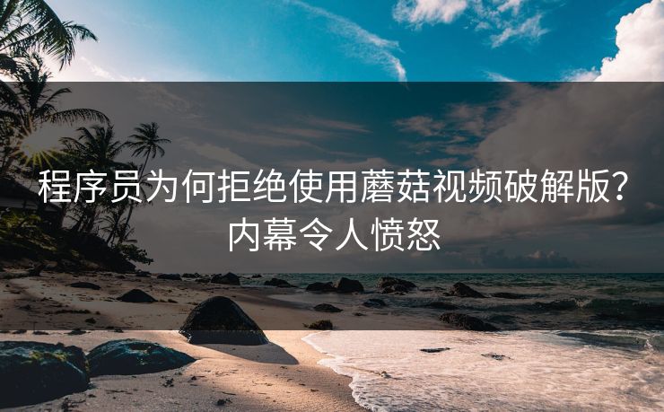 程序员为何拒绝使用蘑菇视频破解版？内幕令人愤怒