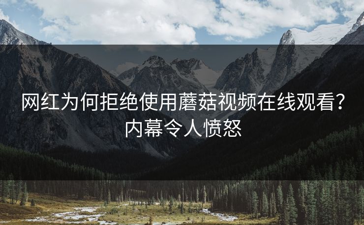 网红为何拒绝使用蘑菇视频在线观看？内幕令人愤怒