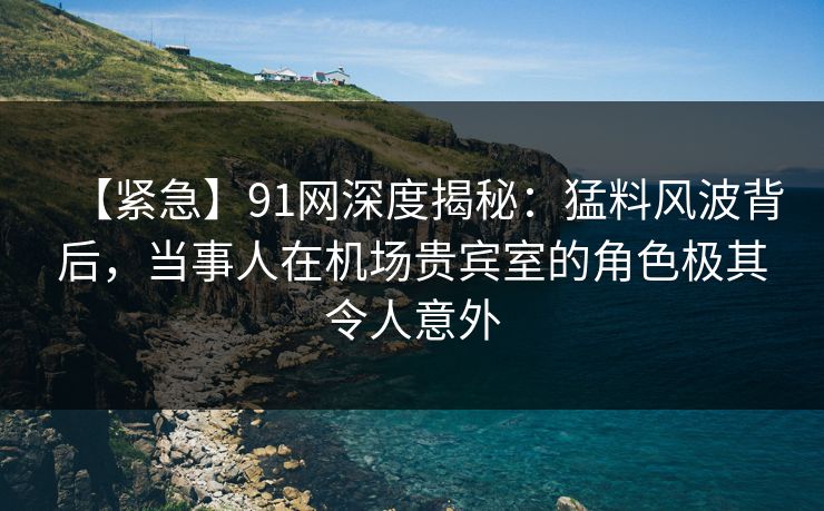 【紧急】91网深度揭秘：猛料风波背后，当事人在机场贵宾室的角色极其令人意外